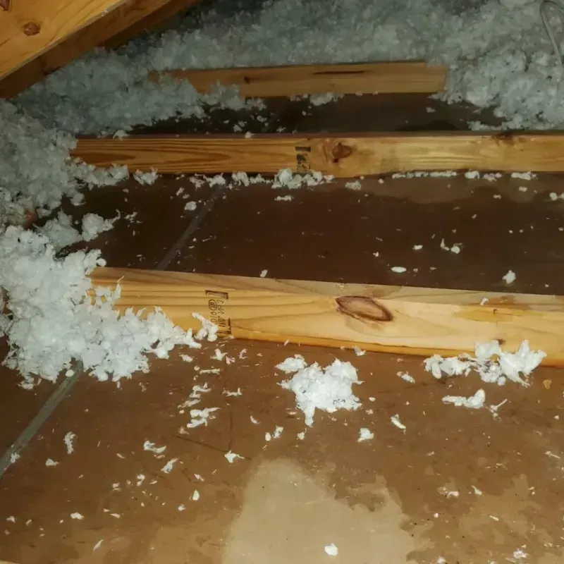 Attic Water Damage in Franklin County, ID