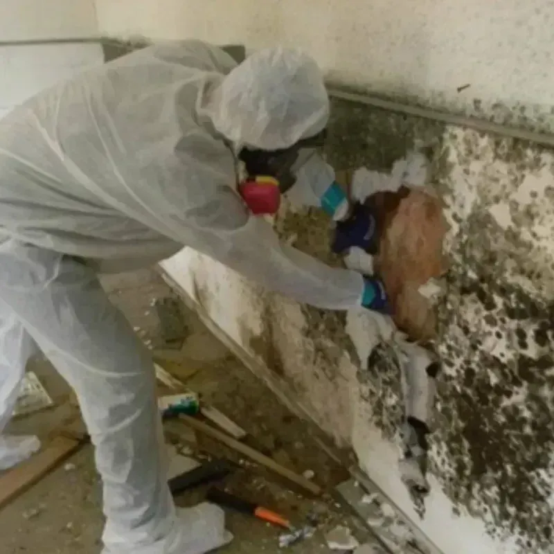 Mold Remediation and Removal in Franklin County, ID