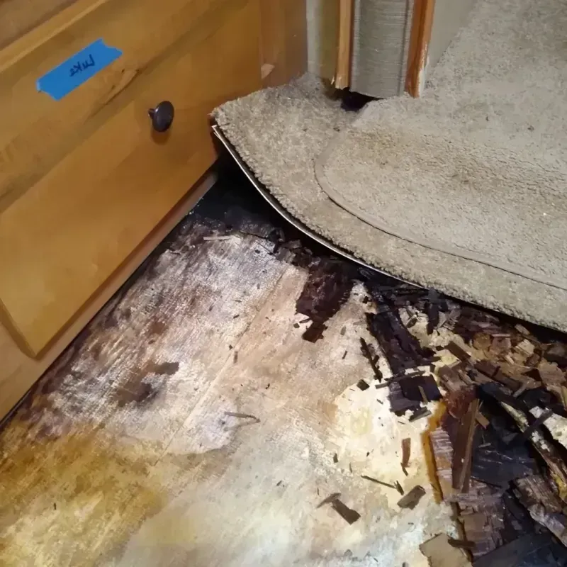 Wood Floor Water Damage in Franklin County, ID